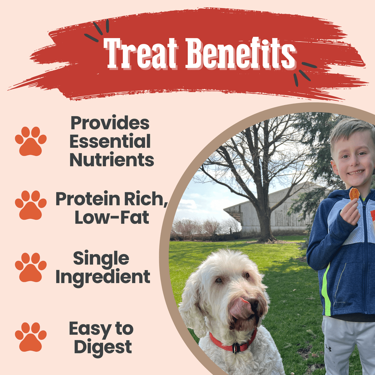 Farm To Pet Turkey Chips for Dogs