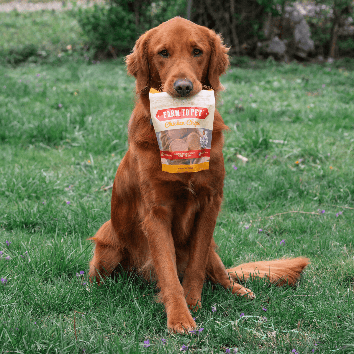 Farm To Pet Chicken Chips for Dogs