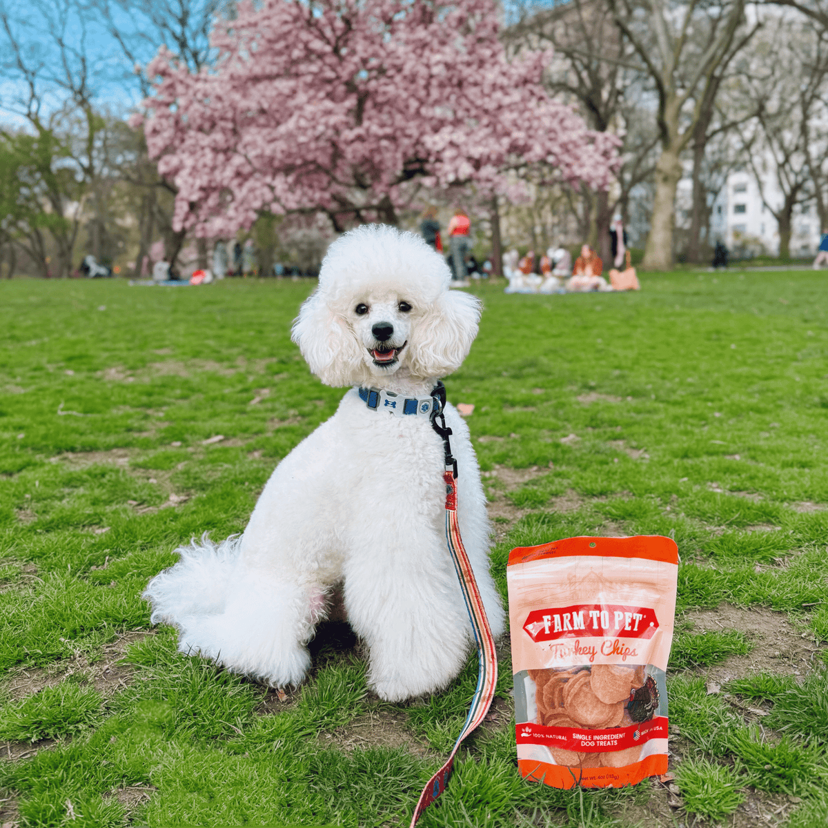 Farm To Pet Turkey Chips for Dogs