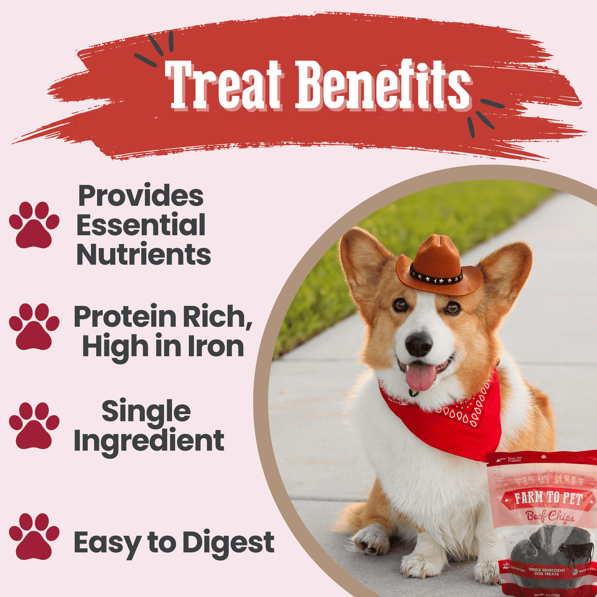 Farm To Pet Beef Chips for Dogs
