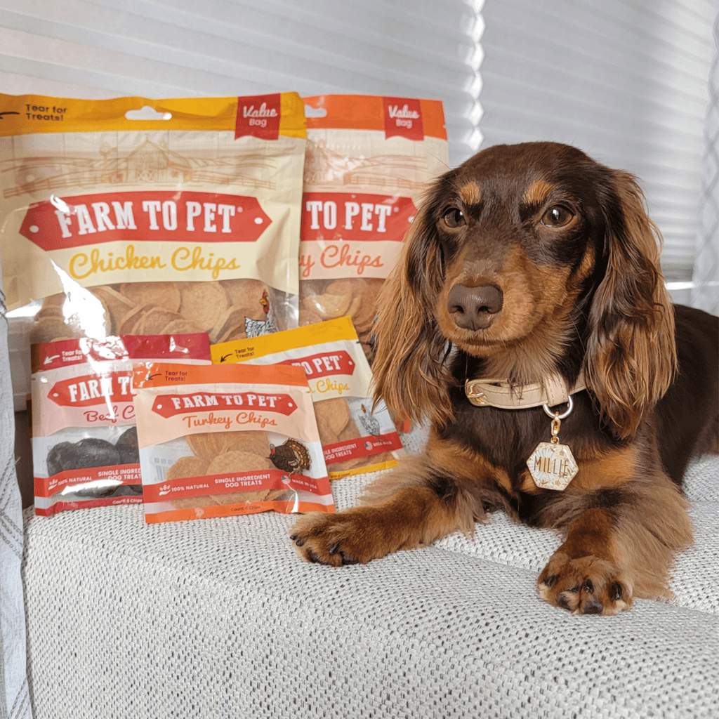 Farm To Pet Chicken & Turkey Chip Duo for Dogs