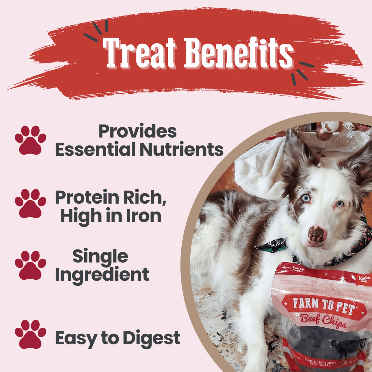 Farm To Pet Beef Chips for Dogs