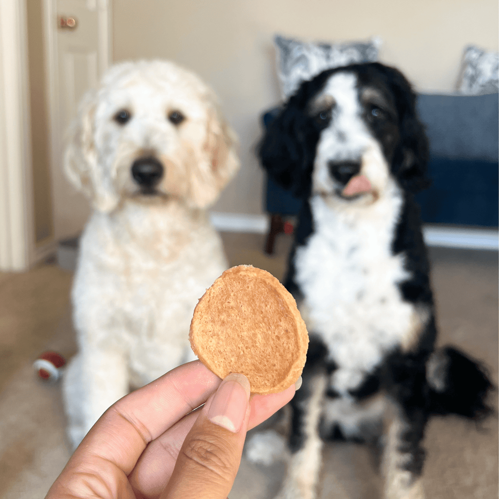 Farm To Pet Chicken Chips for Dogs