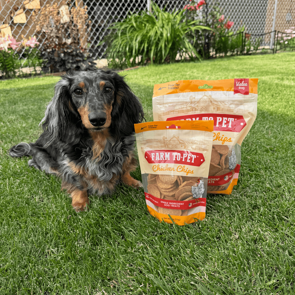 Farm To Pet Chicken Chips for Dogs