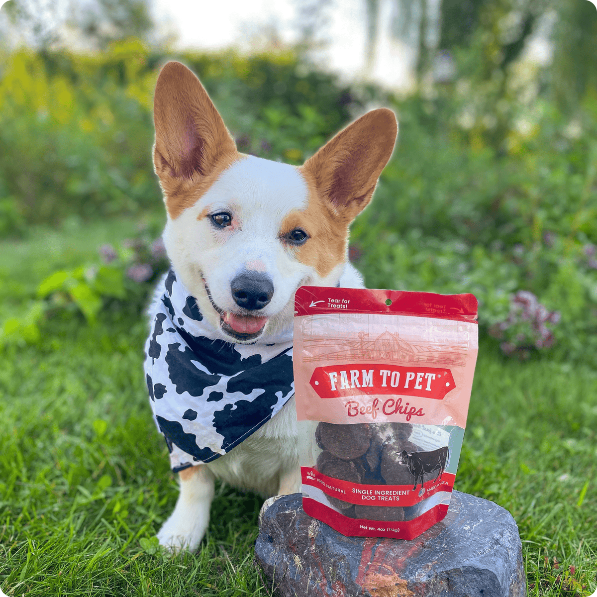 Farm To Pet Beef Chips for Dogs